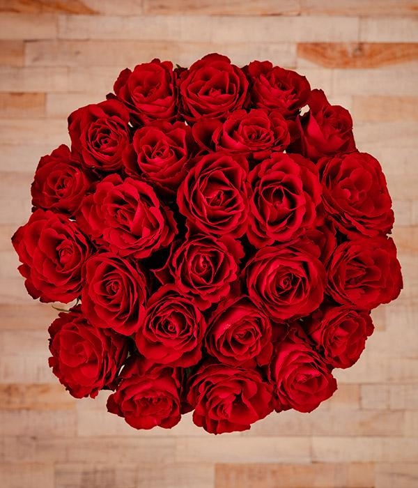 24 Red Roses